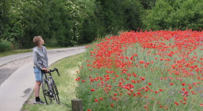 Windenergie und Naturschutz – gemeinsam stark